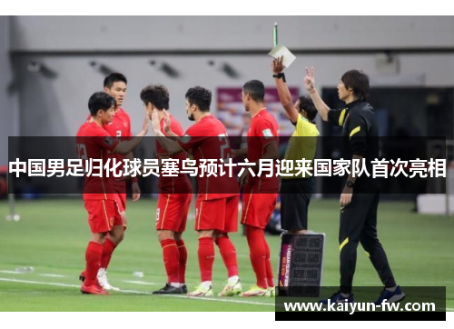 中国男足归化球员塞鸟预计六月迎来国家队首次亮相