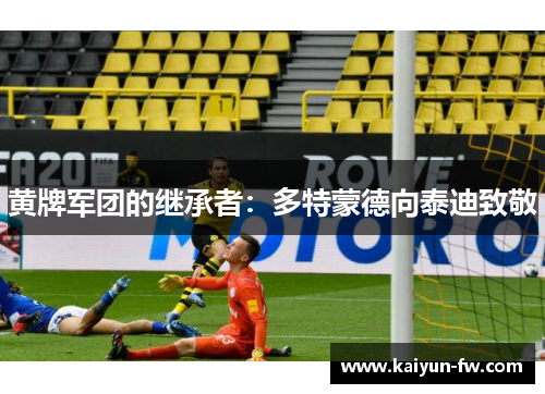 黄牌军团的继承者:多特蒙德向泰迪致敬 黄牌军团的继承者:多特蒙德向泰迪致敬